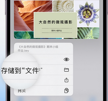 象山apple维修中心分享iPhone文件应用中存储和找到下载文件