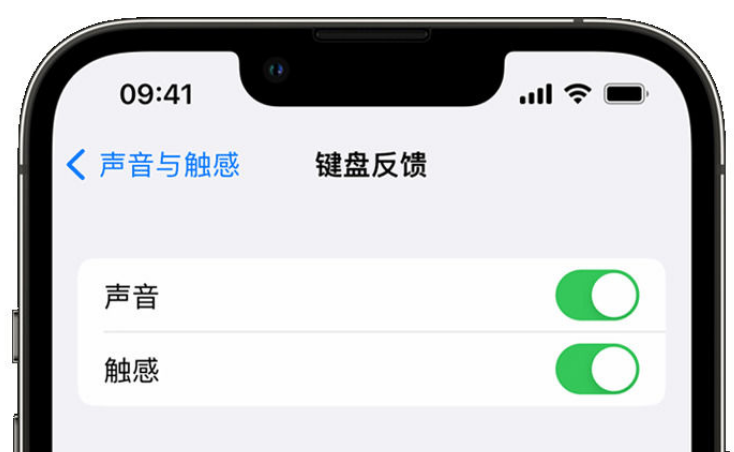 象山苹果手机维修分享iPhone 14触感键盘使用方法 