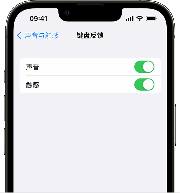 象山苹果14维修店分享如何在 iPhone 14 机型中使用触感键盘 