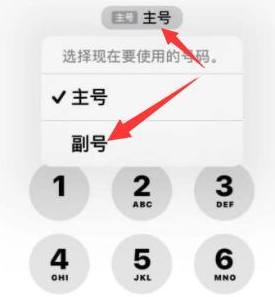 象山苹果14维修店分享iPhone 14 Pro Max使用副卡打电话的方法 