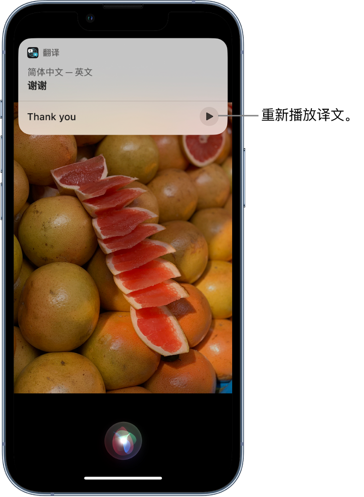 象山苹果14维修分享 iPhone 14 机型中使用 Siri：了解 Siri 能帮你做什么 