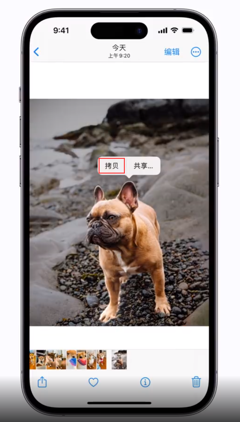 象山苹果手机维修分享 iOS 16 自带一键抠图功能 