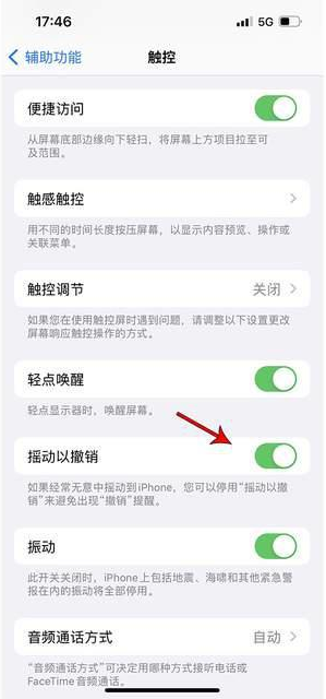 象山苹果手机维修分享iPhone手机如何设置摇一摇删除文字 