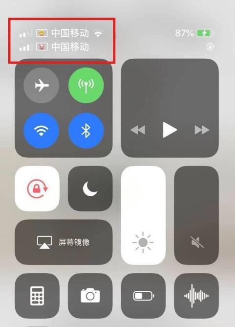 象山苹果手机维修分享为 iPhone 12 双卡设置标签 